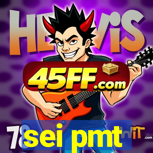 sei pmt